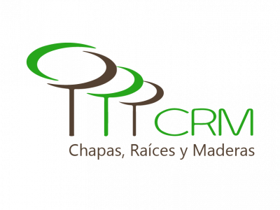Logo Chapas de madera_Mesa de trabajo 1